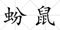 蚡鼠