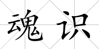魂識(shí)