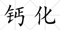 鈣化