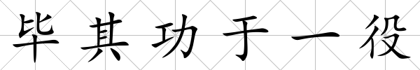 畢其功于一役