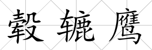 轂轆鷹