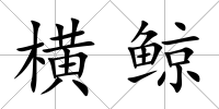 橫鯨