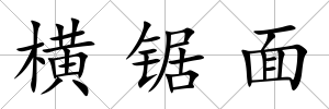 橫鋸面