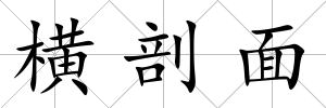 橫剖面