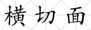 橫切面