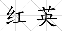紅英