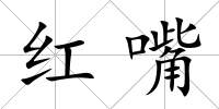 紅嘴