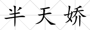半天嬌