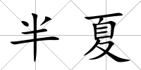 半夏