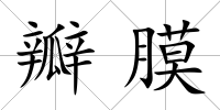 瓣膜