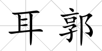 耳郭