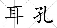 耳孔