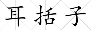 耳括子
