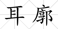 耳廓