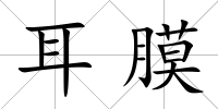 耳膜