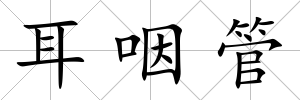 耳咽管