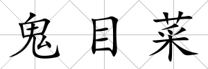 鬼目菜