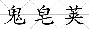 鬼皂莢