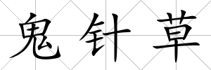 鬼針草