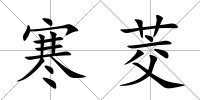 寒茭