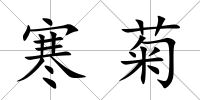寒菊