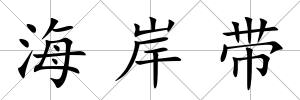 海岸帶