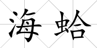 海蛤