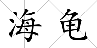 海龜