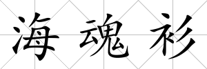 海魂衫