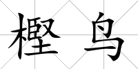 樫鳥