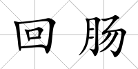 回腸