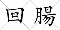 回腸