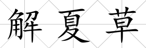 解夏草
