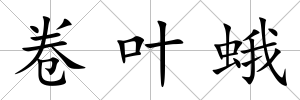 卷葉蛾
