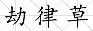 劫律草