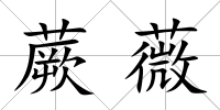 蕨薇