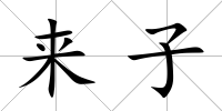 來子