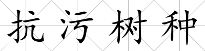 抗污樹種