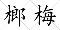 榔梅