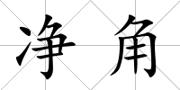 凈角