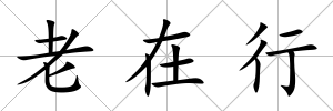 老在行