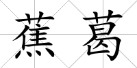 蕉葛