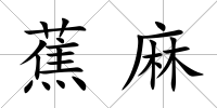 蕉麻