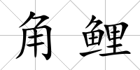 角鯉