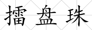 擂盤珠