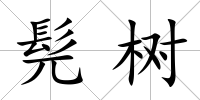 髡樹