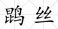 鹍絲