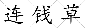 連錢草