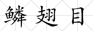 鱗翅目