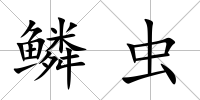 鱗蟲